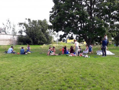 Picknick auf der Wieseninsel